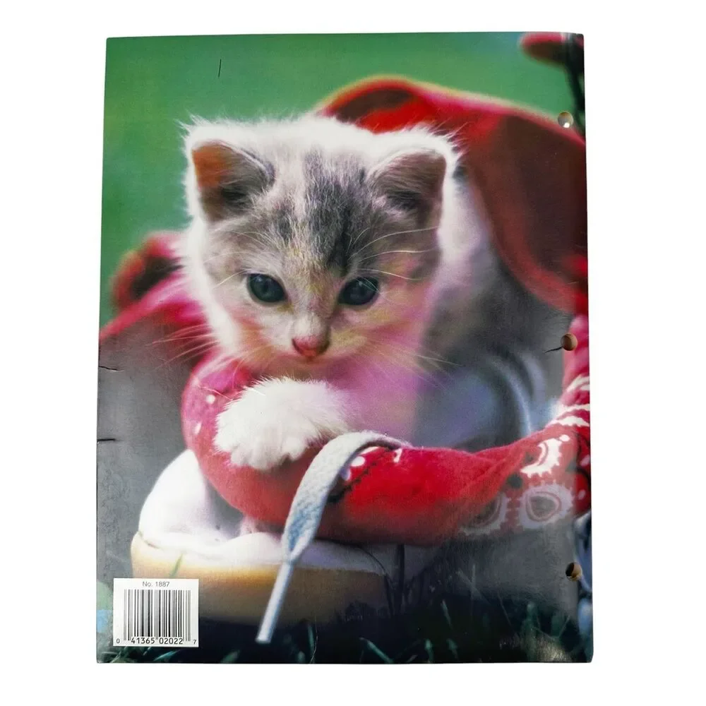 Vintage Cuddly Cuties Binder Portfolio 2 Pocket 3 Ring Cat Kitten Folder 90s Y2K